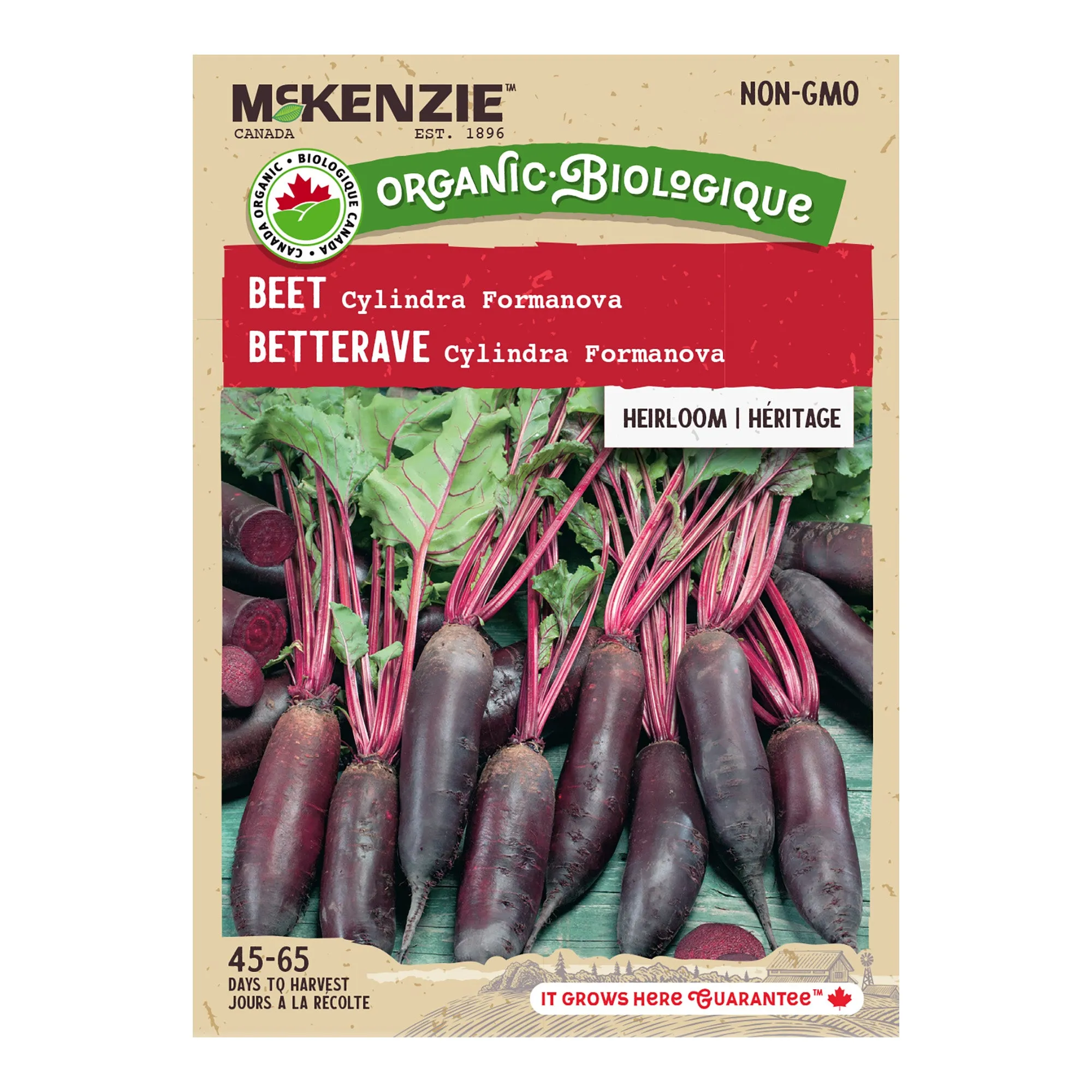 Beet, Cylindra Organic Seeds