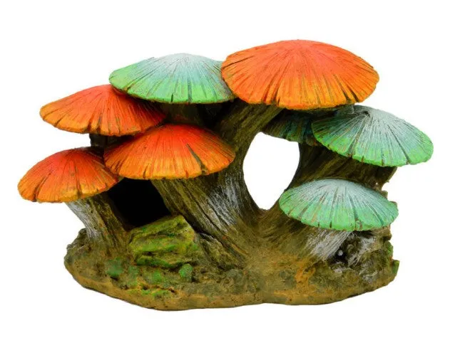 Blue Ribbon Exotic Environments Short Mushroom Garden